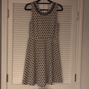 Pixley Grey & White Fit and Flare Dress